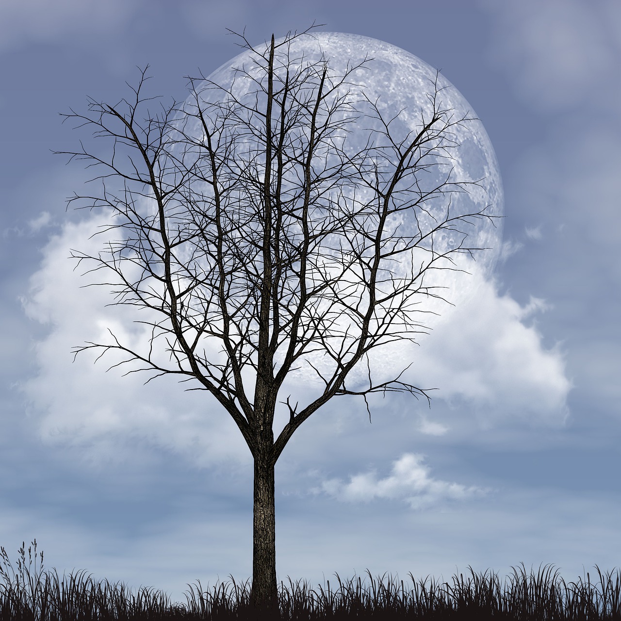 Photo of a tree with the large moon in the sky behind it.